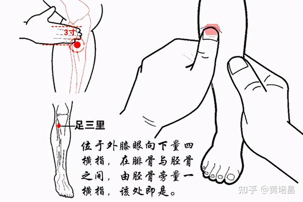 你知道人体的十大养生穴位吗？ 知乎 7550