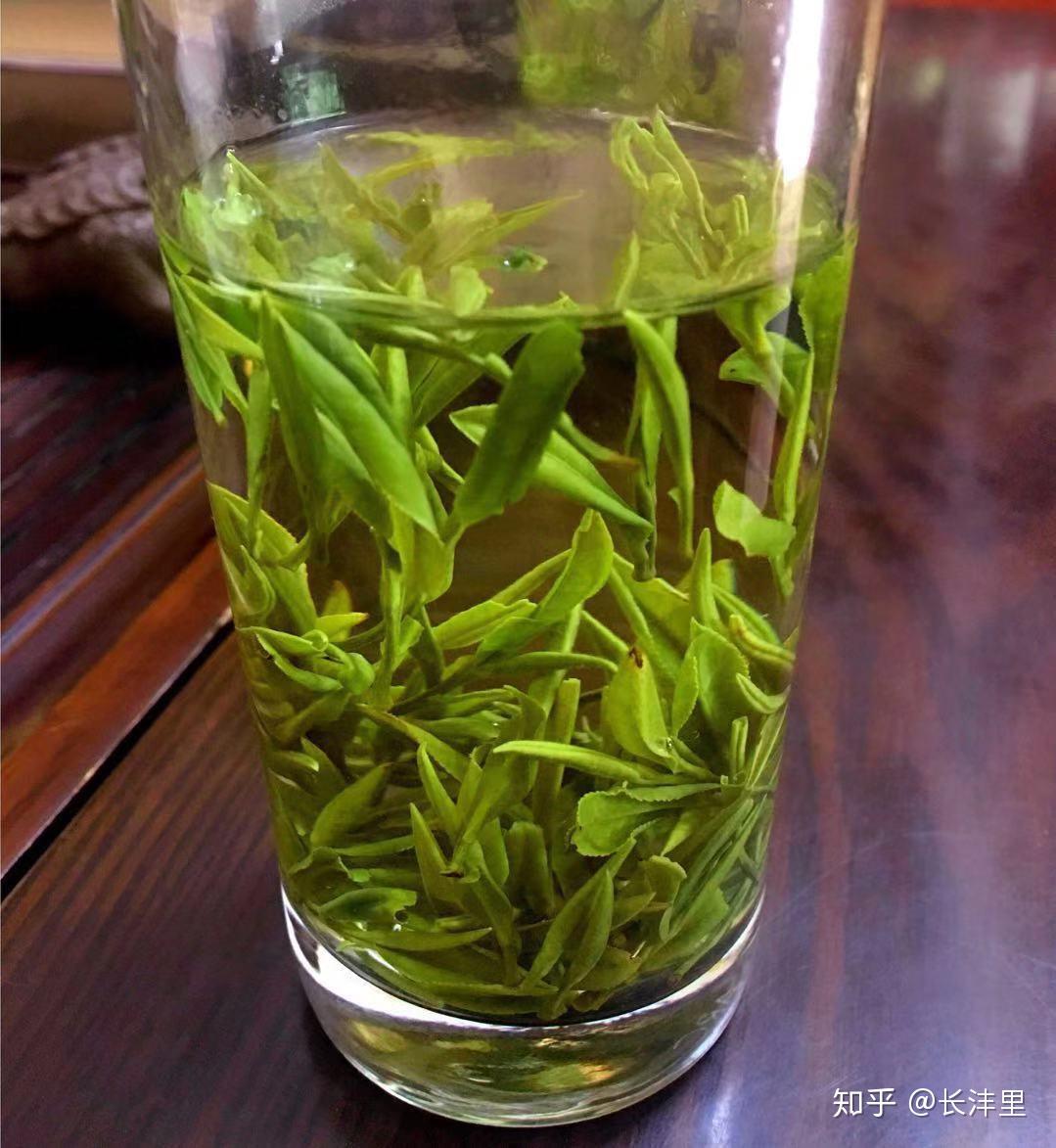 岳西翠兰之明山 - 知乎