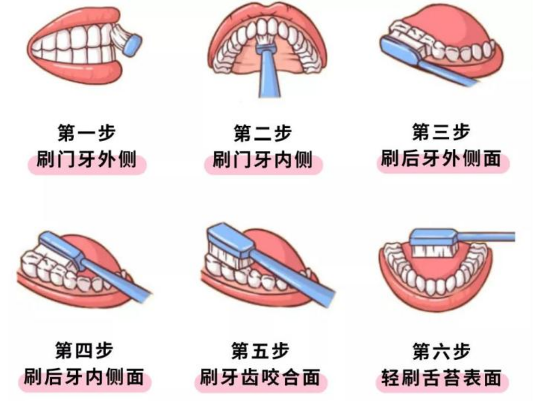 刷牙步骤简笔画 卡通图片