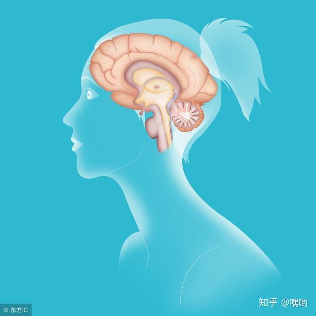 是什麼原因引起的小腦萎縮呢小腦萎縮的症狀