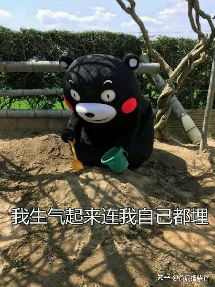 如何评价韩综白钟元的街头美食斗士?