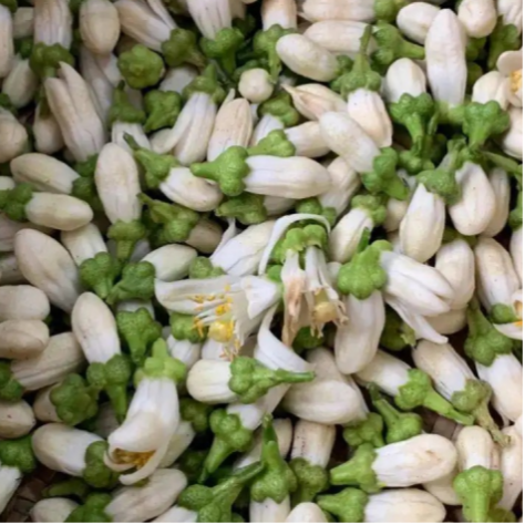 名贵滋补药食同源之代代花 - 知乎