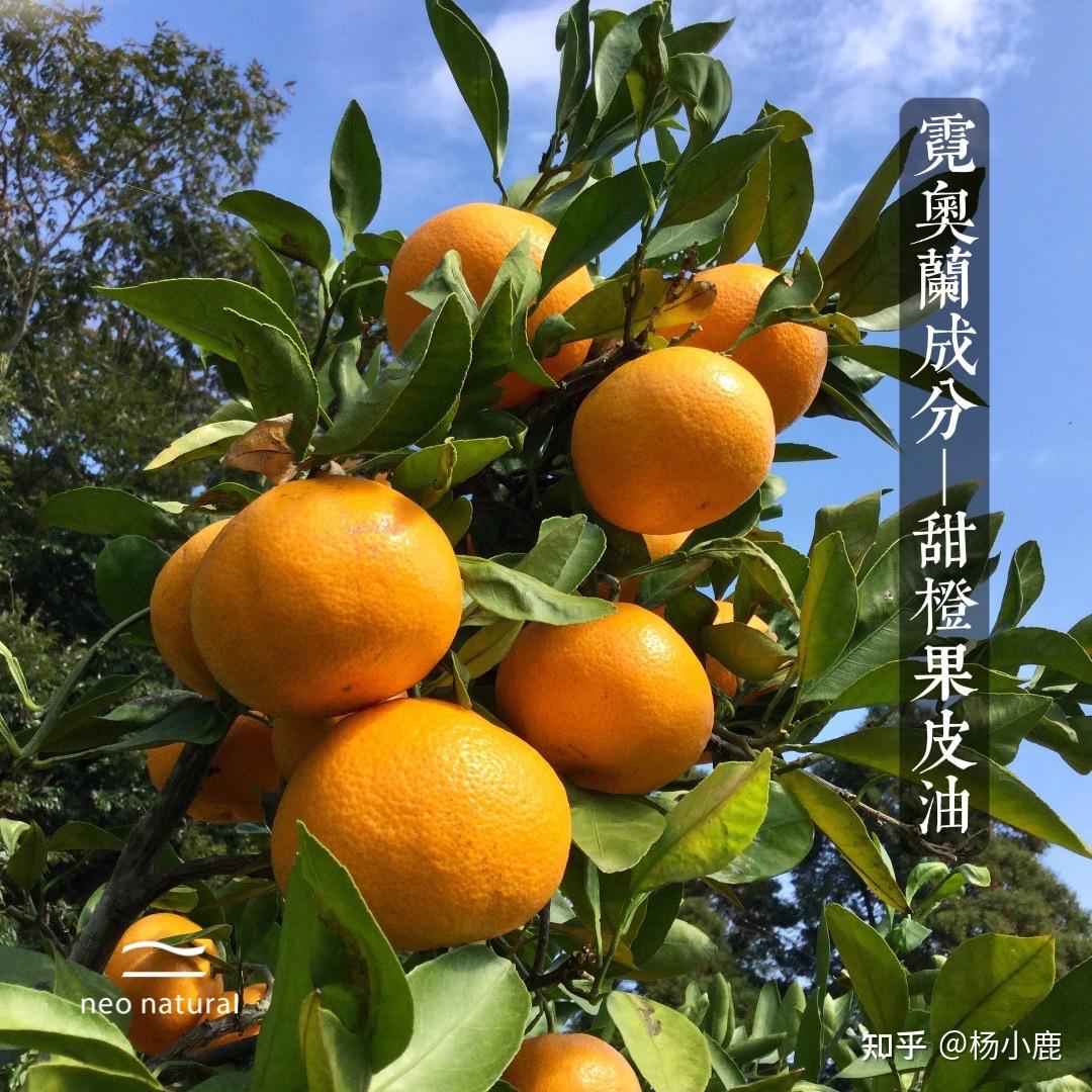 霓奥兰成分-甜橙果皮油 - 知乎