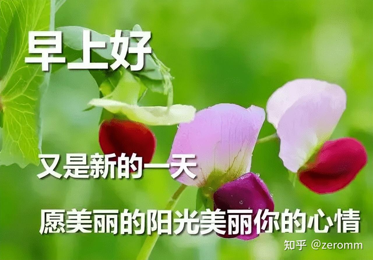 干净治愈的早安励志简短句子,很美的早上好问候语祝福图片带字