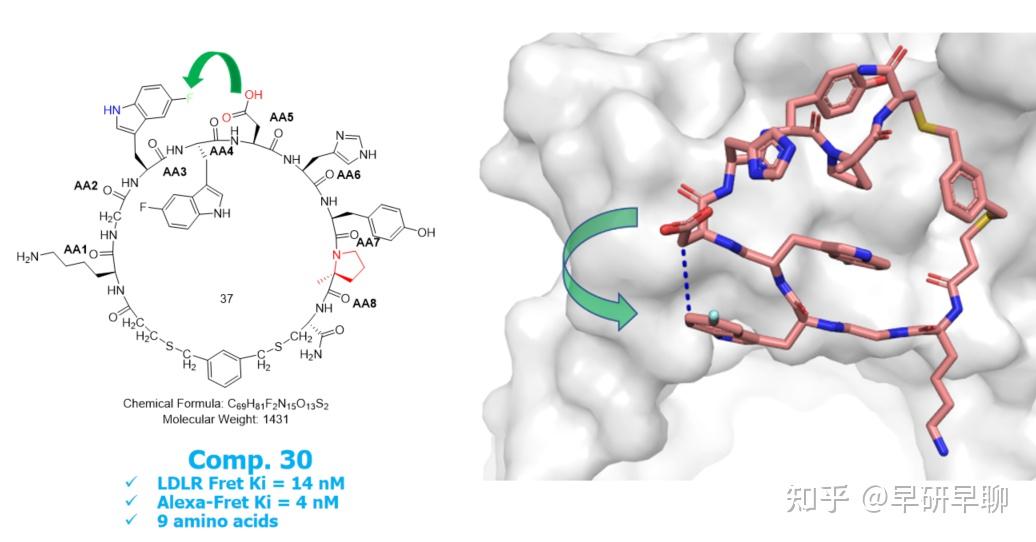 口服降血脂pcsk9抑制剂大环肽mk0616发现之旅