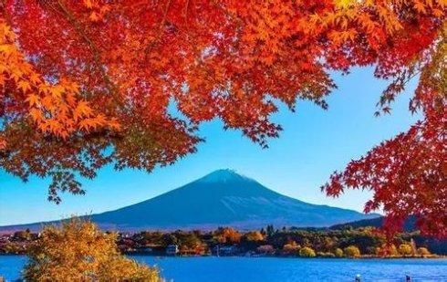 唐红的恋歌 中的日本歌牌 知乎