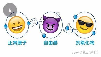 半胱氨酸的功能人体抗氧剂清理自由基