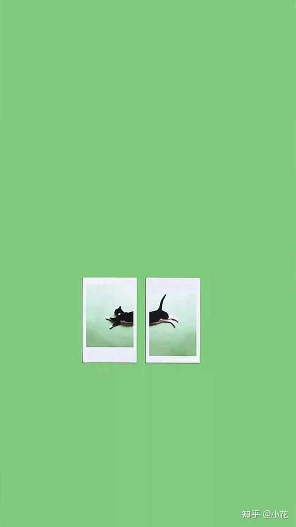 有什么干净清爽的壁纸?