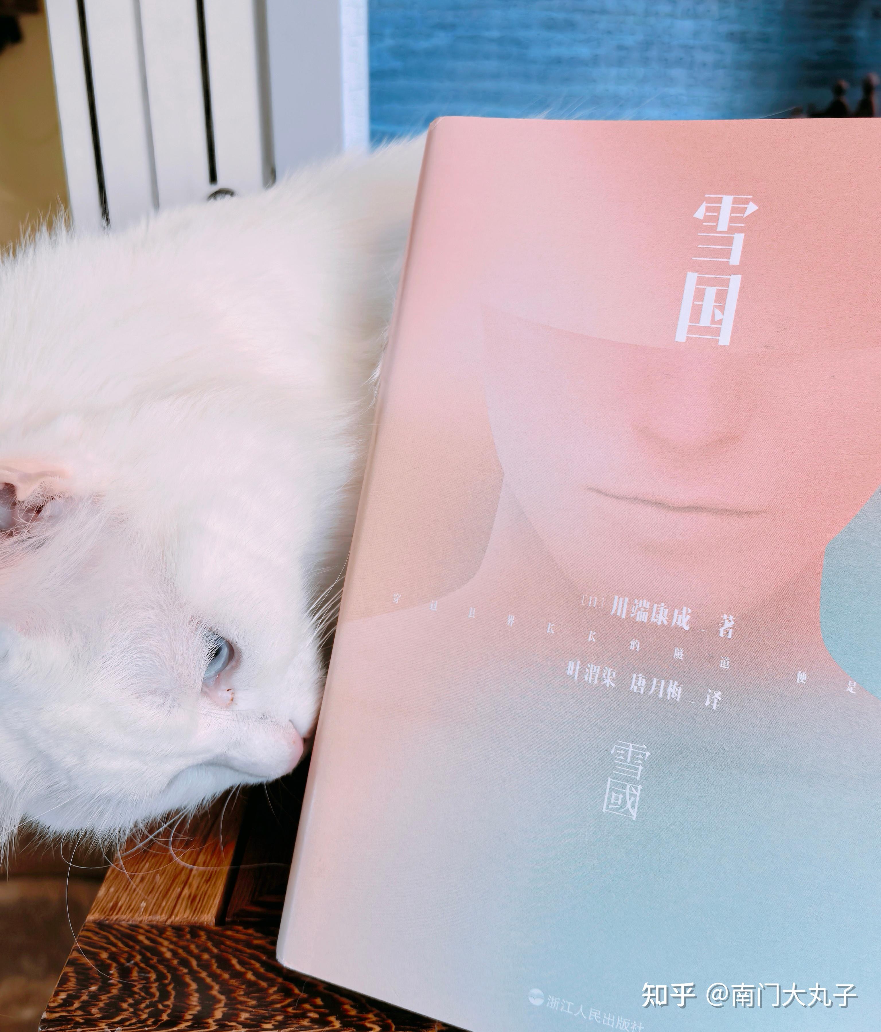川端康成《雪国》——白茫茫的,是雪,是徒劳 - 知乎