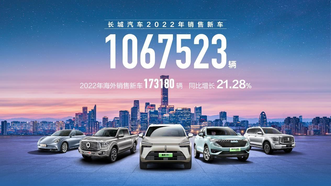 比亚迪2024年海外销量