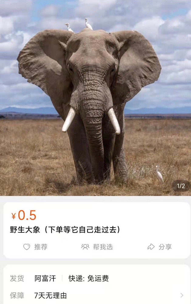 12-四郎不要太真实#每天上班的动力源于闹钟的铃声#-13-做生意不就得