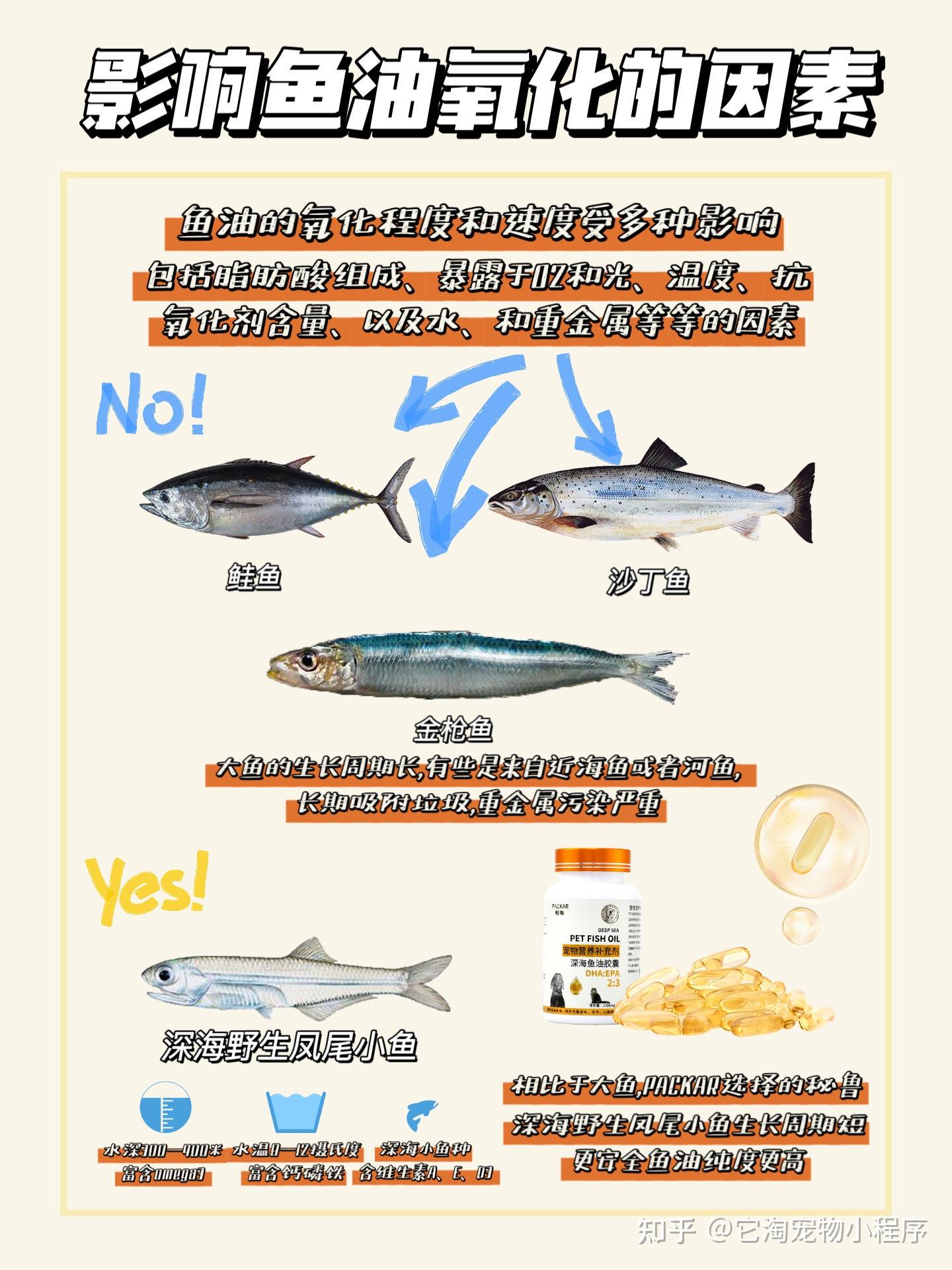 鱼油的7大功效【2024】不能忽视的几条使用禁忌！ • 美国生活指南