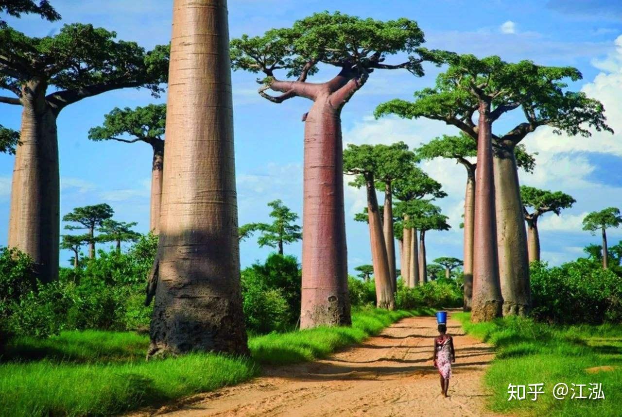 遥远的马达加斯加：生活的不富裕，丝毫影响不到这世间的这片美丽_地方