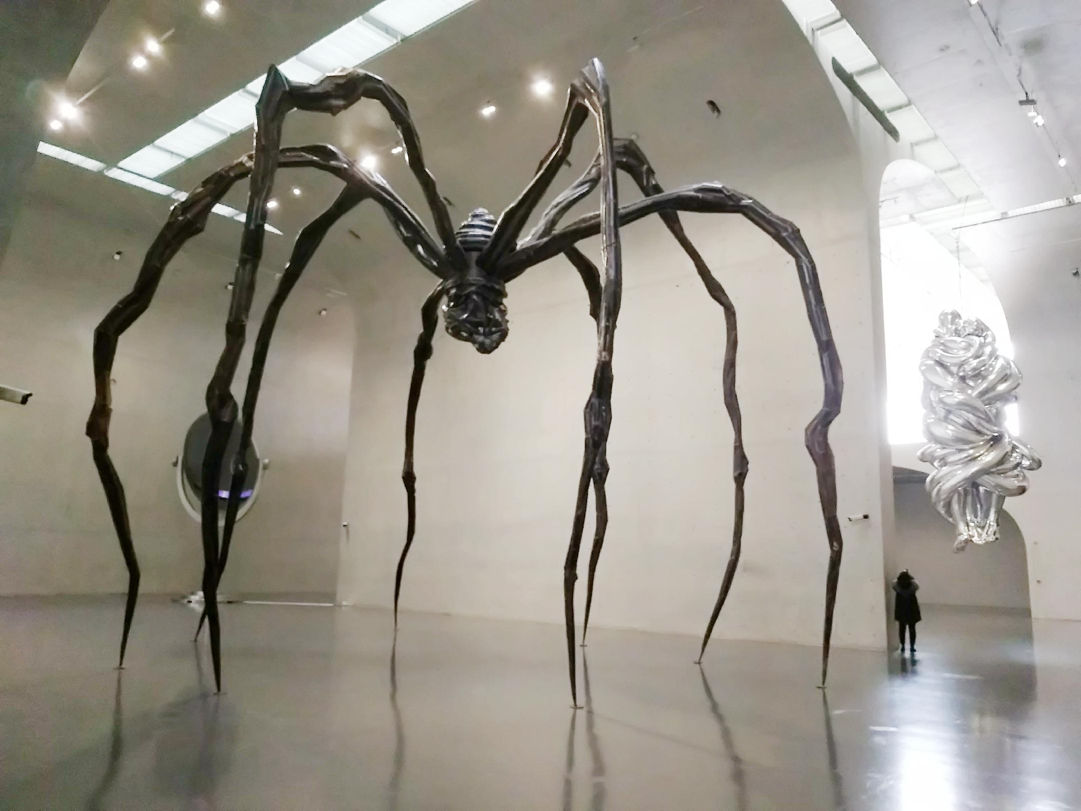 观路易丝布尔乔亚永恒的丝线所带来的思考