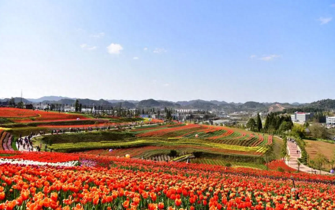乌当羊昌·花画小镇旅游景区4a级桃源河全境面积15.