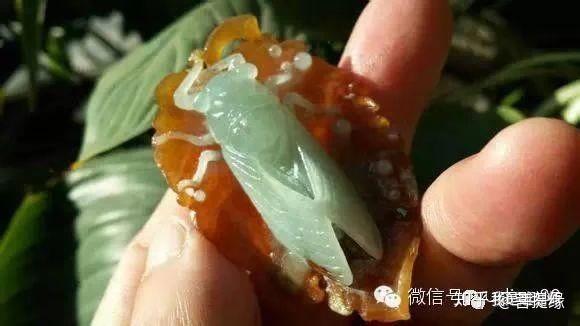 看玉石金蝉怎么脱壳！冰种红翡俏色巧雕作品，一鸣惊人- 知乎