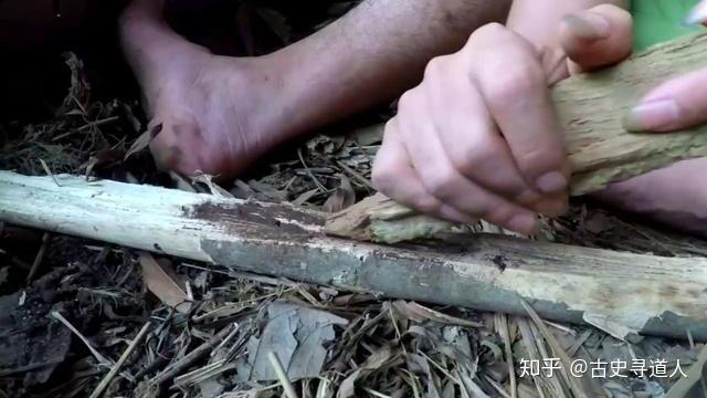 燧人氏发明钻木取火真是受到了鸟啄燧木的启发?你所不知道的事实 - 知乎