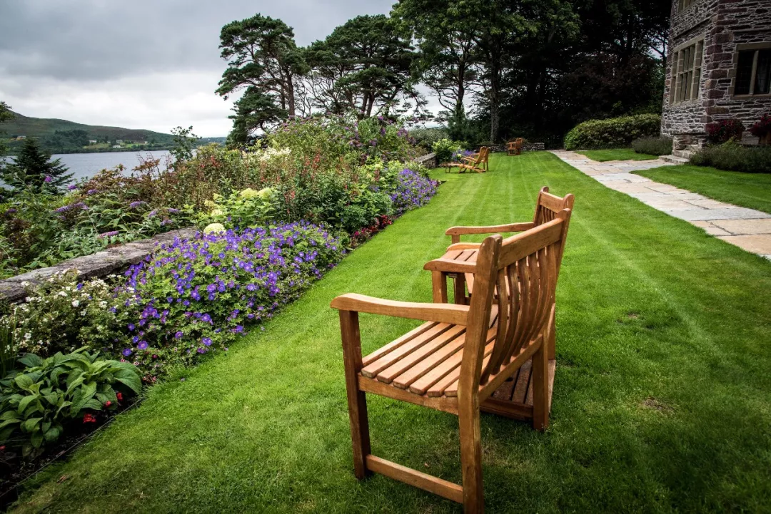 360全解爱尔兰移民