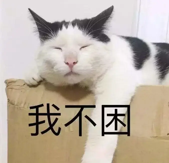 119张可爱搞笑的猫表情包