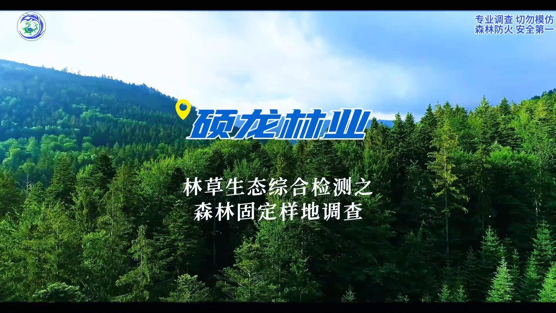 点击可播放视频