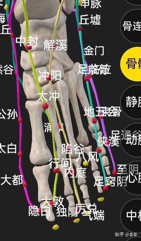 针灸总结1(已校) - 知乎