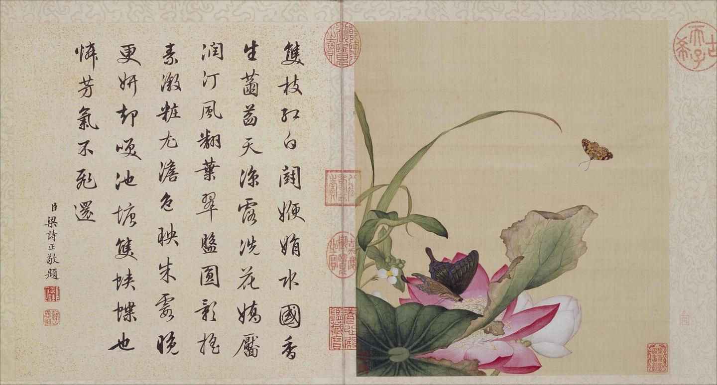 郎世寧 花鳥圖 清郎世宁《花鸟图册》赏析-搜狐