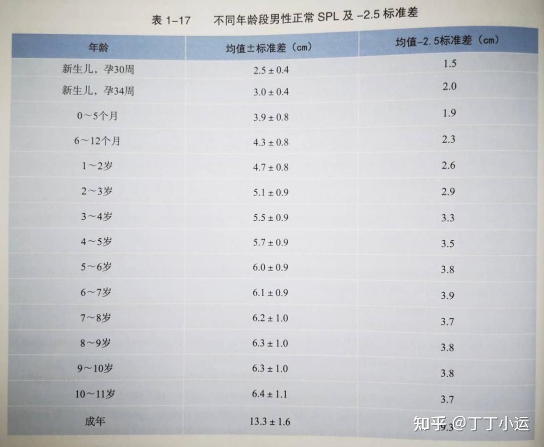 睾丸和附睾的内部结构-泌尿科学-医学