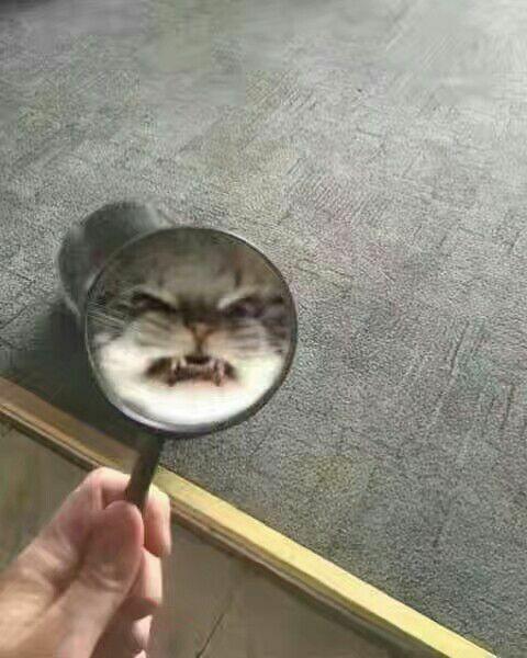 如何看待武大樱花季游客不文明现象?