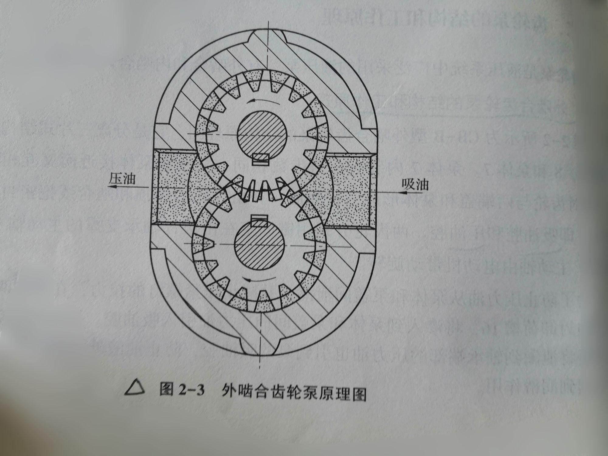 當齒輪按圖示方向旋轉時,泵的右側吸油腔內的齒輪相繼脫開齧合(需要有