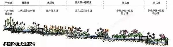 集聚型与分散型乡村排水设施规划策略研究