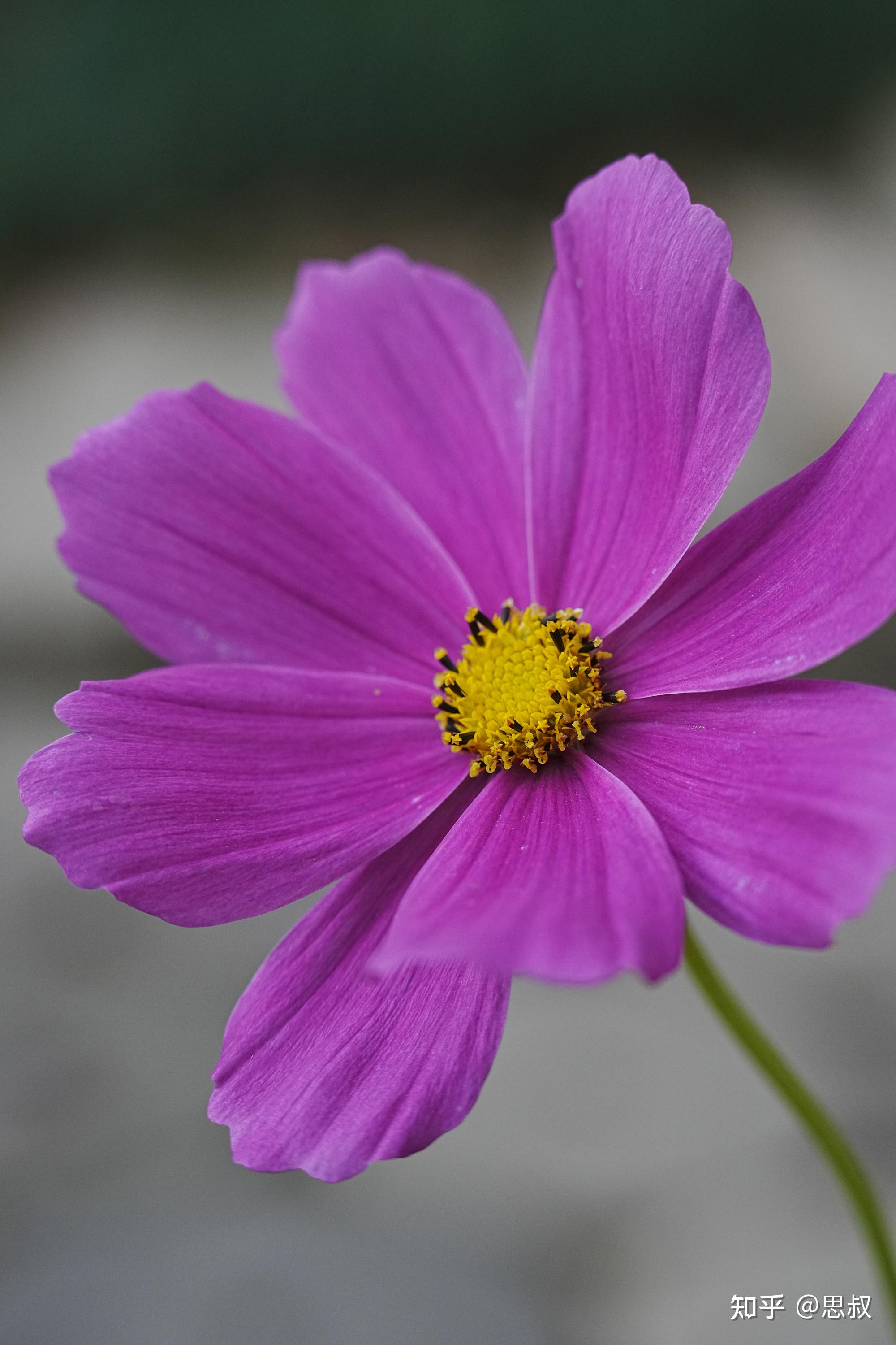 70-180mm-f-2-8-g2