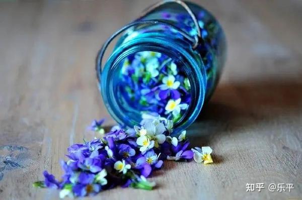 超级干净温柔的文案(温柔干净的文案短句  触动内心的文案句子，经典走心)