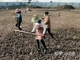 二 场地平整 - 知乎