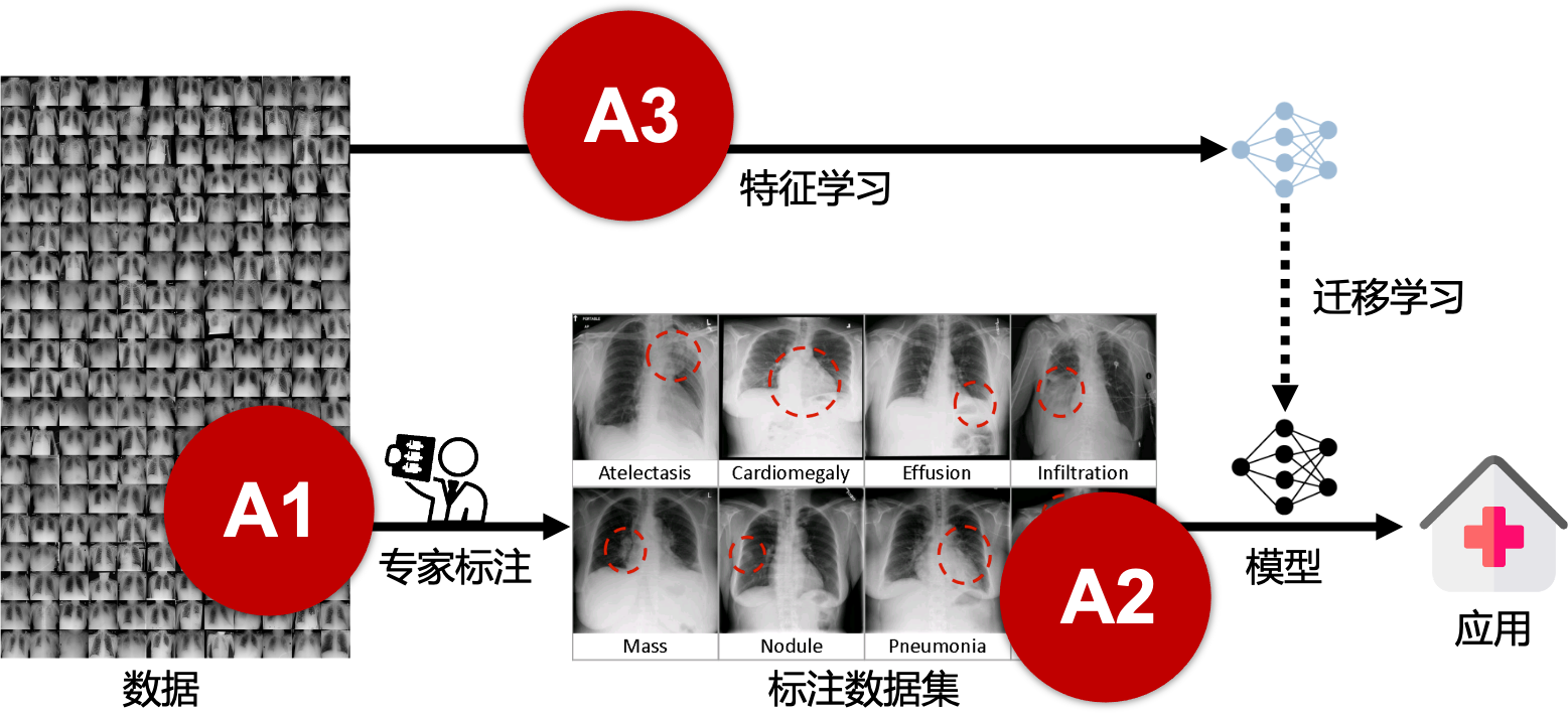 医学影像分析中的深度学习与专家标注