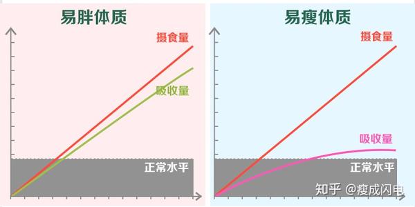 瘦身方案广告_贾玲瘦身方案_瘦身方案