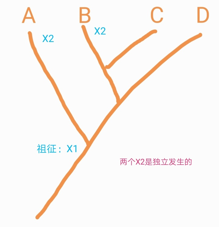 对单系群、并系群、复系群概念的深入理解 - 知乎