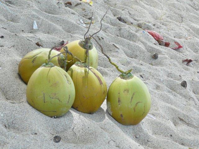 椰果,椰肉,椰子水,椰汁,椰浆、椰蓉,到底有什么区别? - 知乎