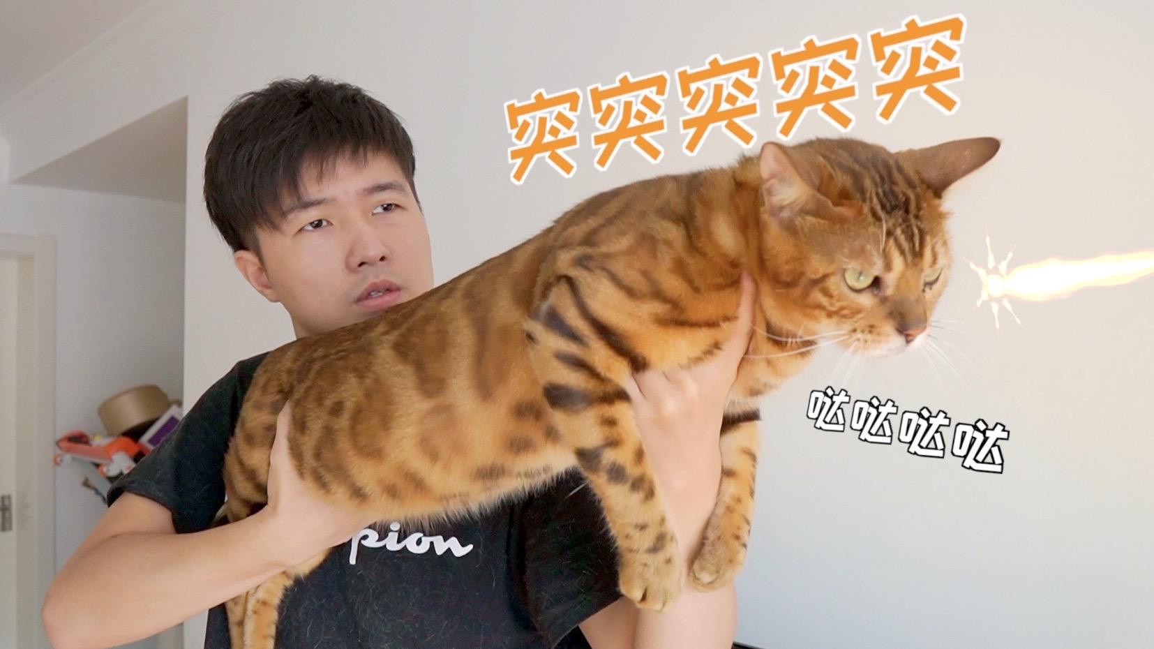 参加电视台水上闯关节目是怎样的体验?