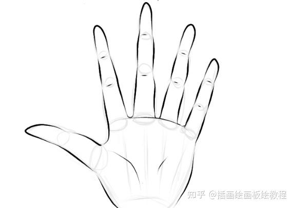 不会画手指手指要画多长教你正确画手指的方法