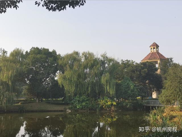 绿城大盘桃源小镇,能否在闲林翻身战中崛起?| 房叔说No.102 - 知乎
