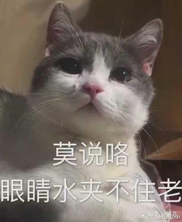 v2-4c09ef71199955e7aad4e96f36f7b2c3_r.jpg