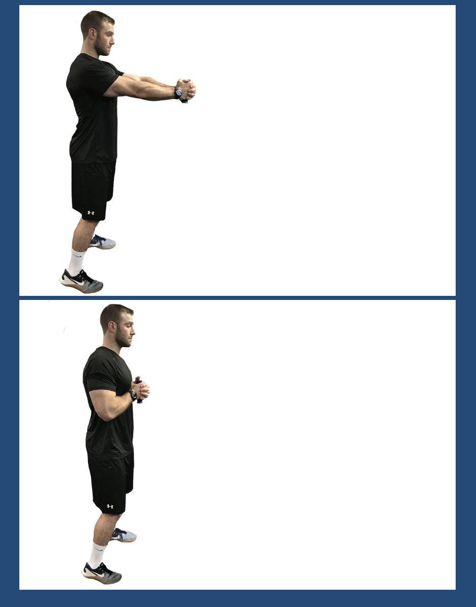 nasm专栏渐进式的核心训练nasmopt模型