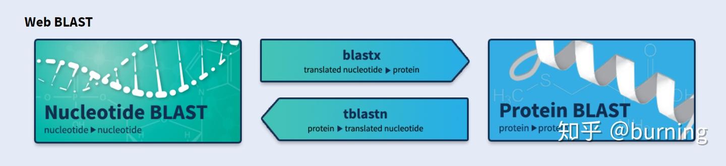 Linux 安装Blast本地版 - 知乎