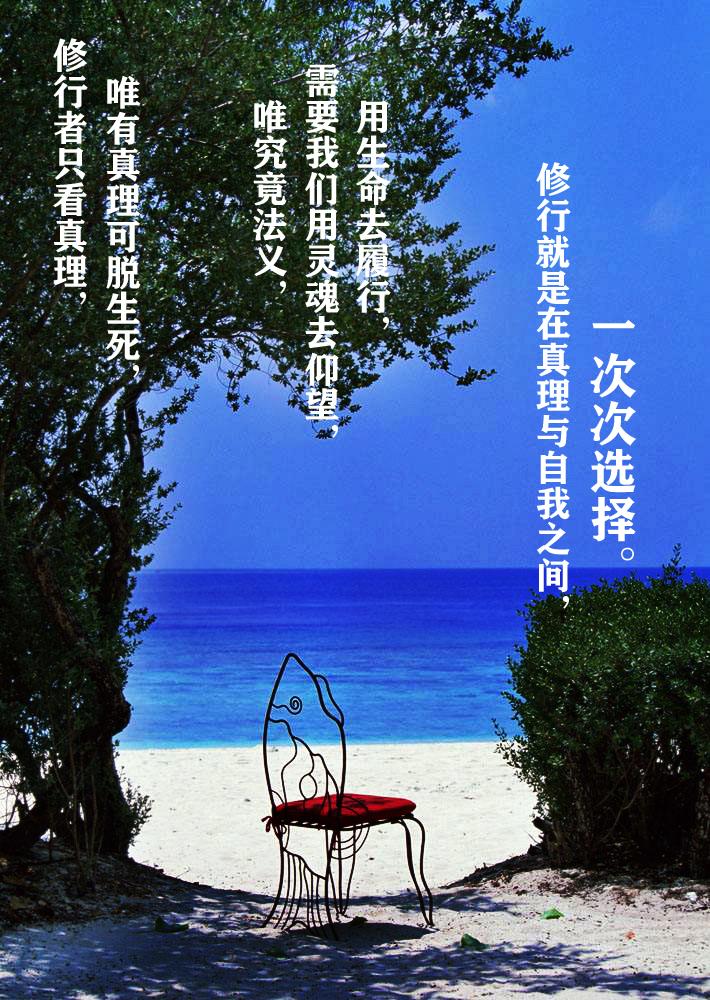 鲜少世界说四圣谛 知乎 鲜少世界说四圣谛 知乎
