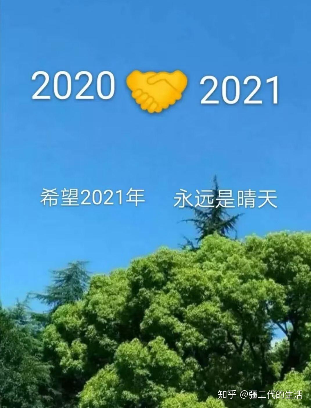 新疆中药材2020你若不弃2021年我们继续