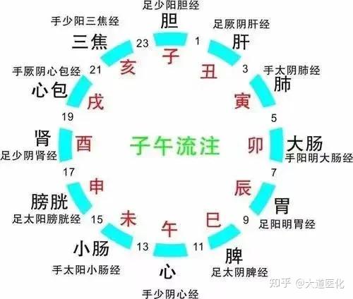 夏季养生作息时间表:养胃、养心、养百脉 - 知乎