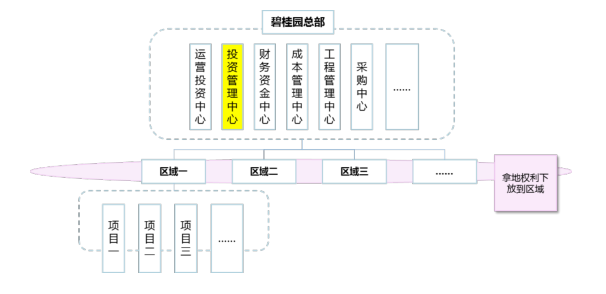2013年碧桂园三级组织架构图