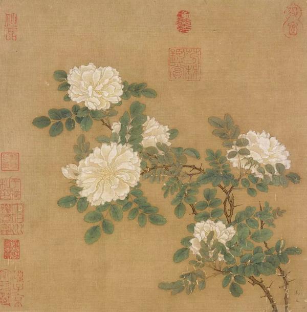 寓兴 花木的图像史 跟随故宫专家品读古画中的一花一木 知乎