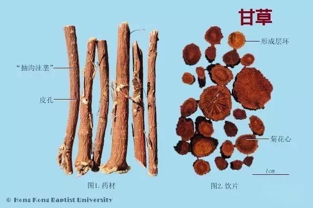 223种中药的鉴别图谱(彩图注释) - 知乎