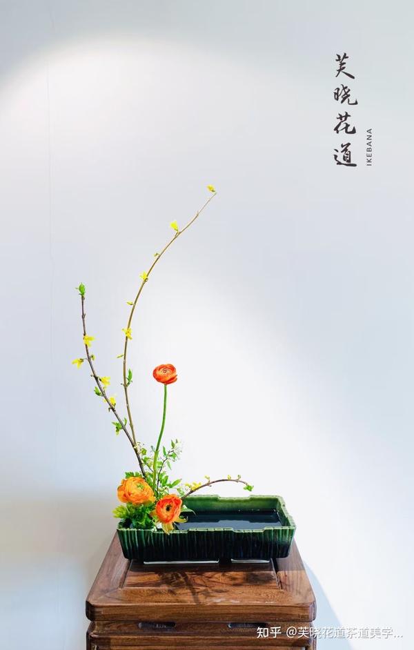 花道与茶道 知乎